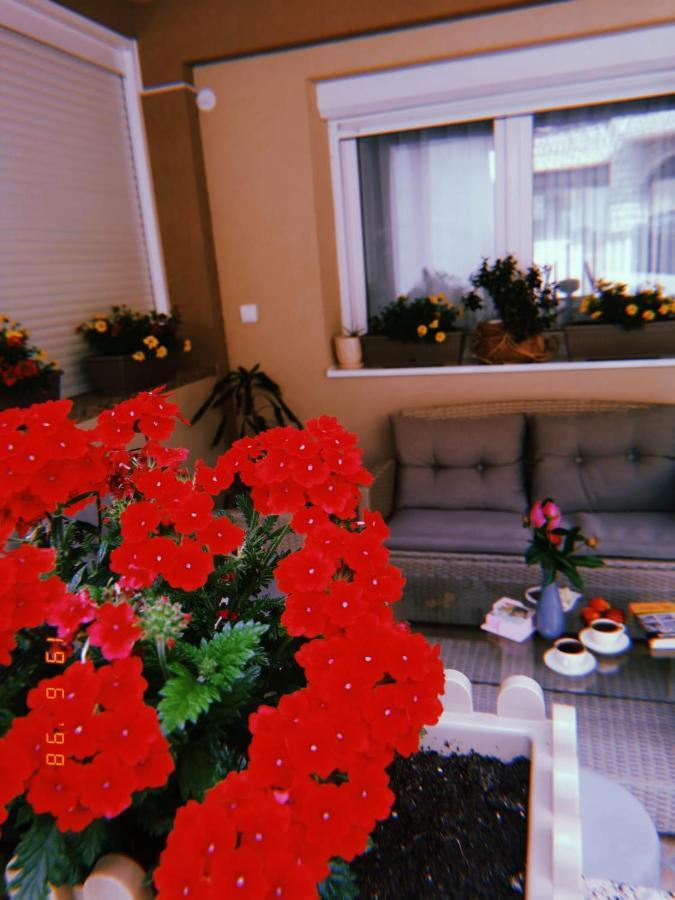Apartman Jela Нова-Варош Екстер'єр фото