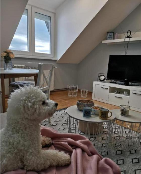 Apartman Jela Нова-Варош Екстер'єр фото