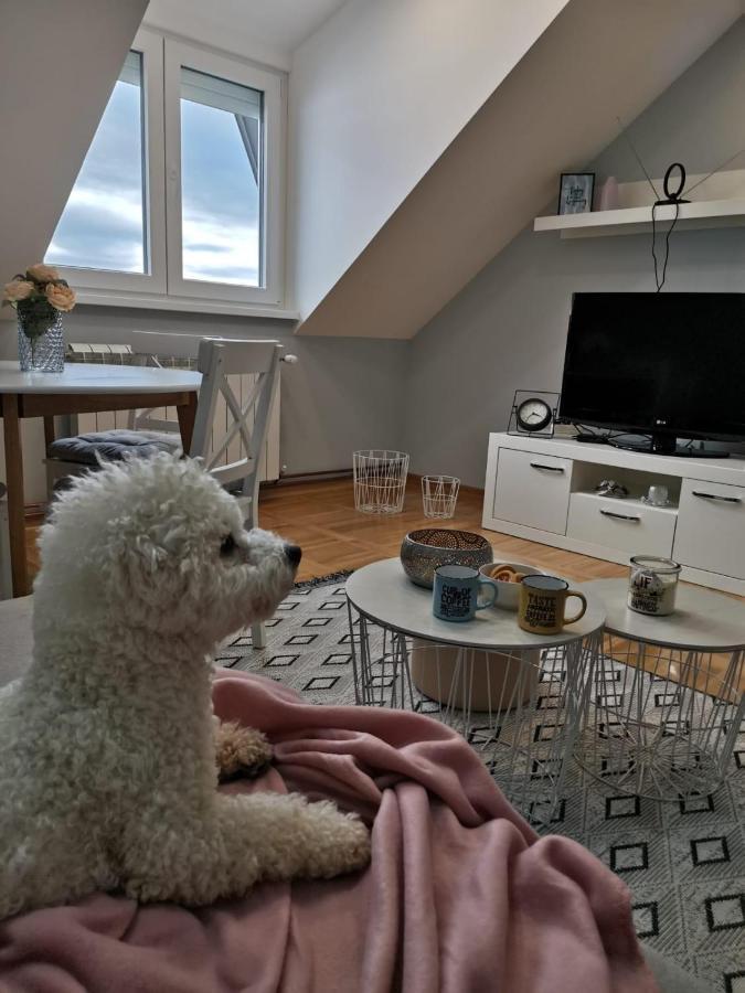 Apartman Jela Нова-Варош Екстер'єр фото